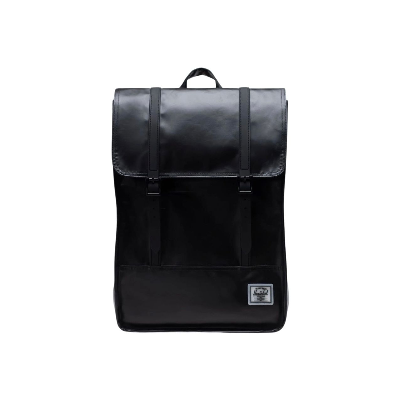 HERSCHEL Survey Backpack II