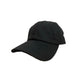 CIVIC DUTY Sparrow Dad Hat