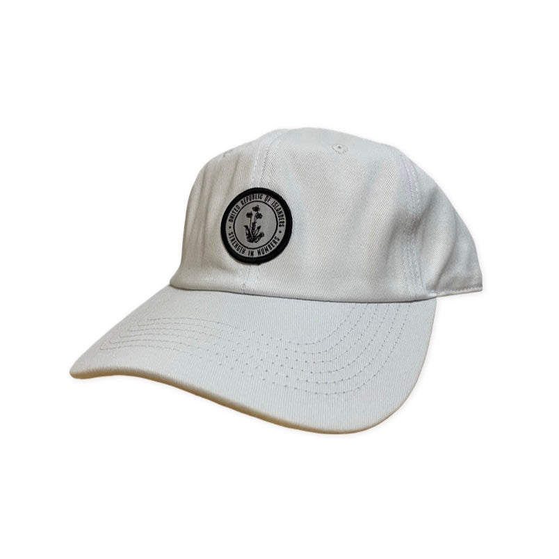CIVIC DUTY ROI Dad Hat