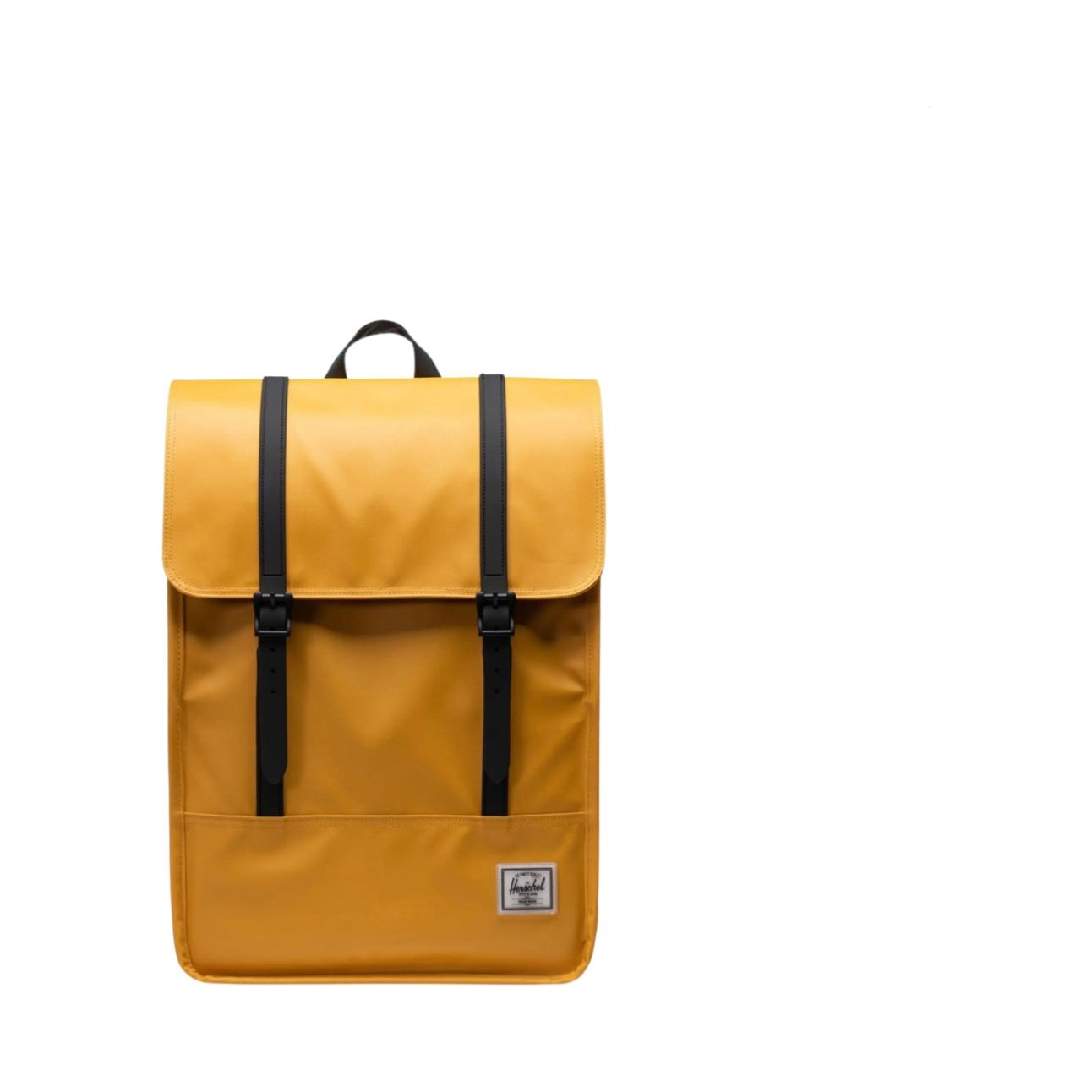 HERSCHEL Survey Backpack II