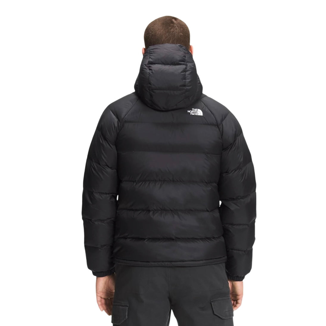 THE NORTH FACE Hydrenalite Down Hoodie Jacket
