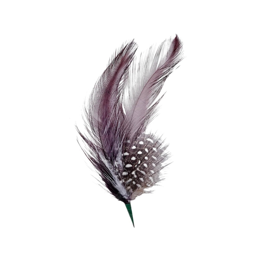 BRIXTON Hat feather